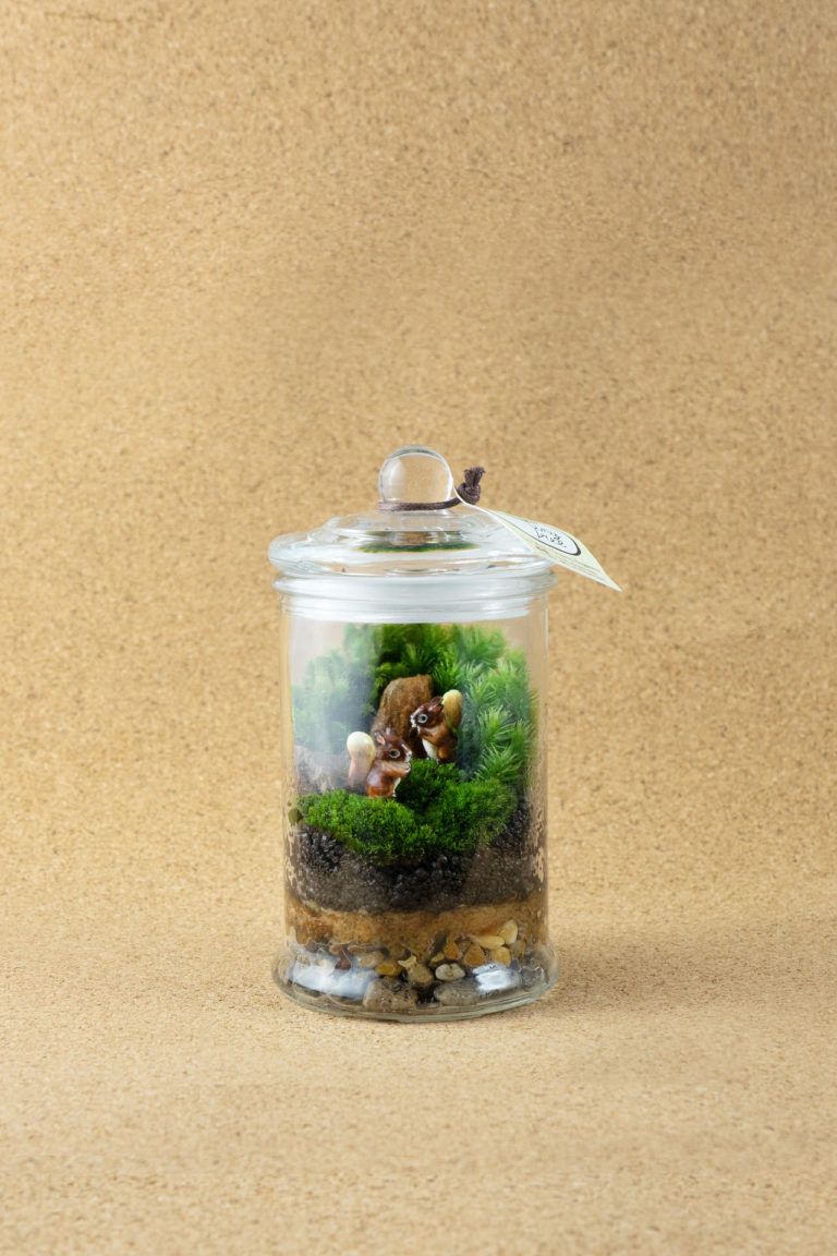 Wisdomtree Terrarium Tiny Tree Garden : Terrarium, Plants Shop, Workshop Service